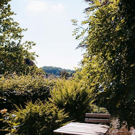 Ferienwohnung Kurpark Brilon Am Rothaarsteig ภายนอก รูปภาพ